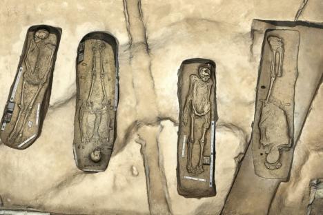 嵌入式历史Jamestowne缩略图wedvictor伟德下载