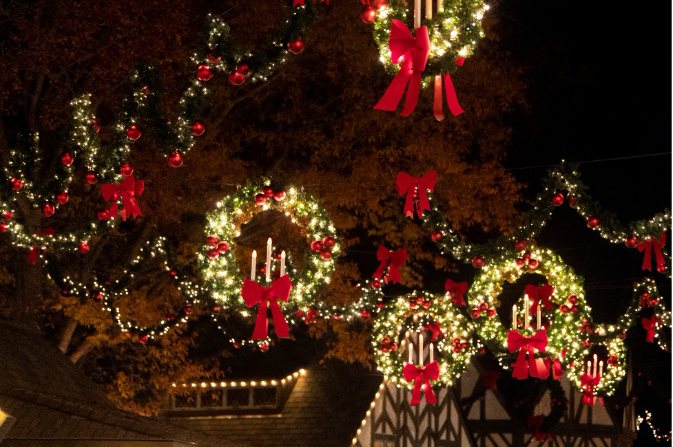 花圈布希花园假日