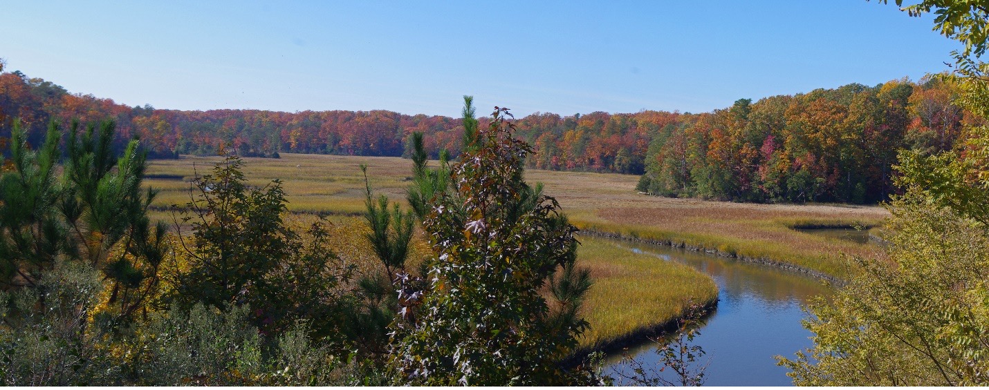 约克河州立公园