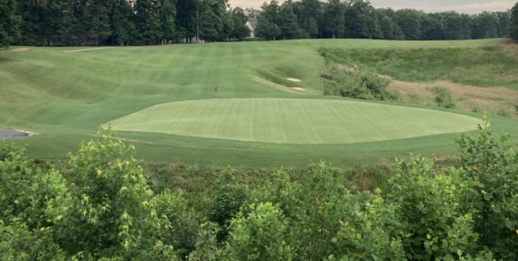 眺望着18绿色。