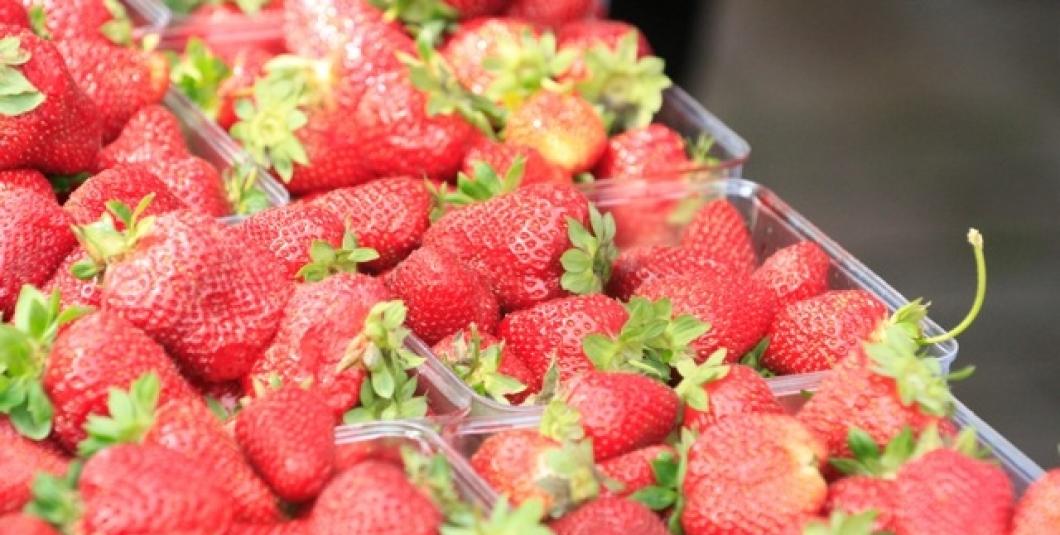 草莓上市了!