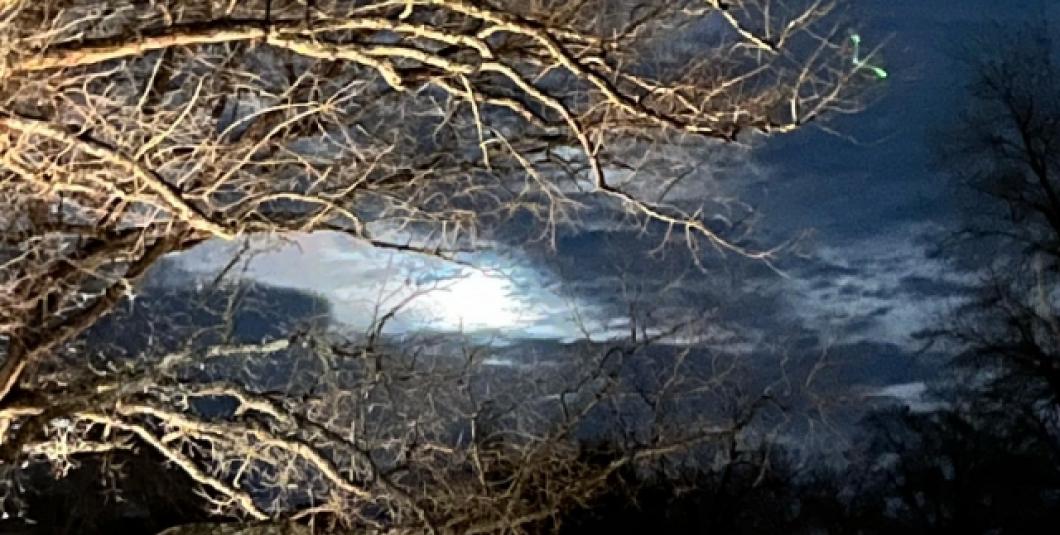 殖民时期的威廉斯堡那里隐藏着黑暗的秘密!