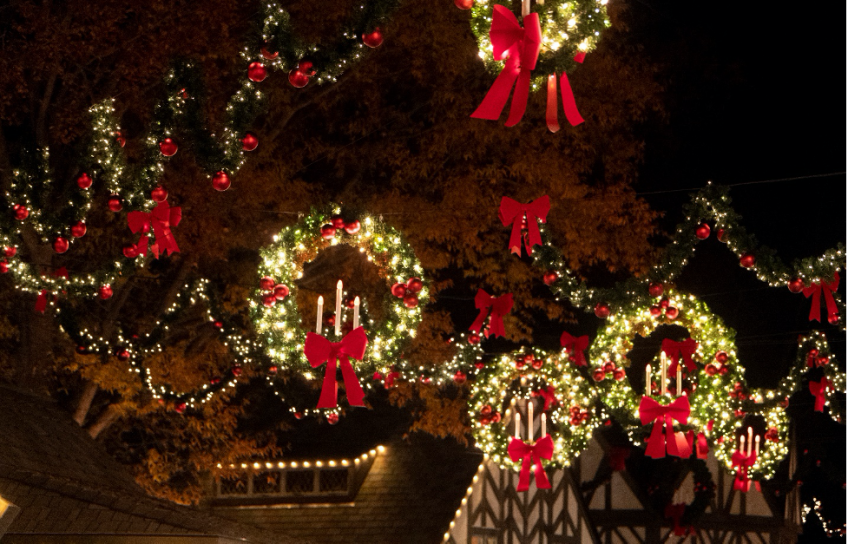 布希花园夜晚的圣诞花环