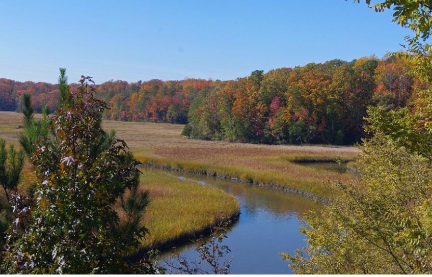 约克河州立公园
