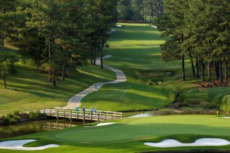 黄金马蹄金课程