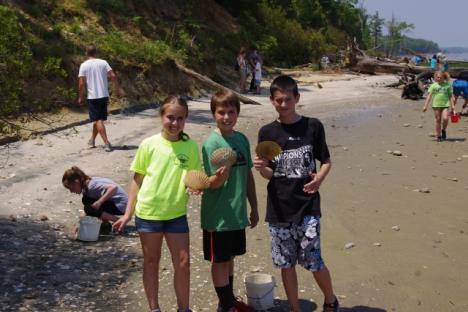 寻找化石是一项很受欢迎的活动