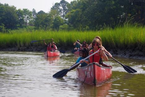 探索塔斯金纳斯河的河口沼泽