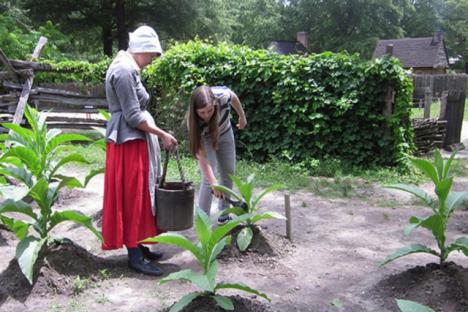 革命时期农场的烟草浇水。