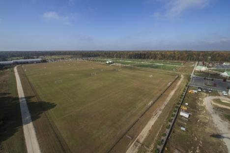 字段在Warhill运动复杂