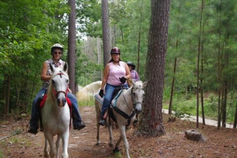 马和骑手是受欢迎的