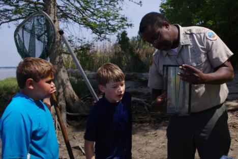 发现独特的水生生物