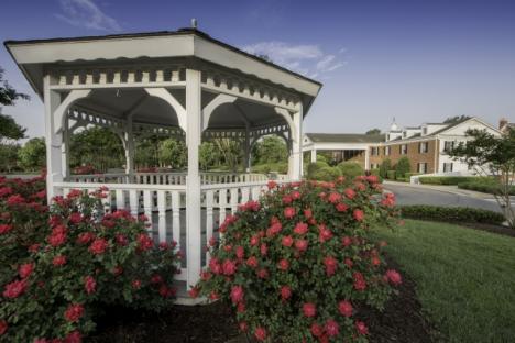 露台上享受度假的客人