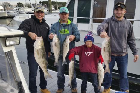 Crew with load of Striped Bass