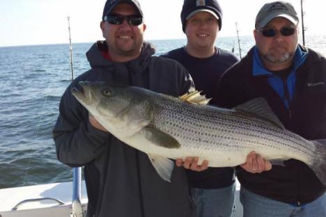 Trophy Striped Bass