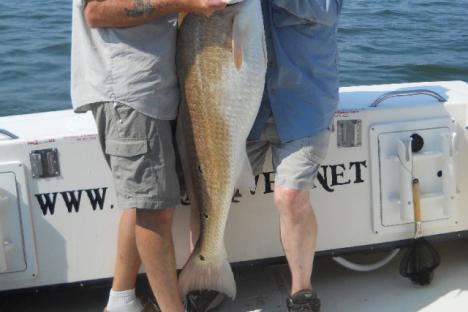 Trophy Red Drum
